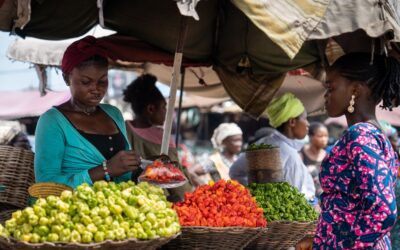 The Impact of Up Valley Consulting on Local Economies in Ghana