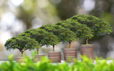 Sustainable Investment Strategies for Africa