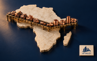 FDI Trends in Africa: Opportunities Beyond Traditional Sectors